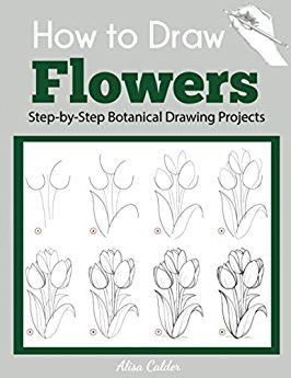 Oil & Acrylic: Flowers: Learn to paint step by step : Baldwin, Marcia: Amazon.ca: Books Learn To Draw Flowers, How To Draw Flowers, Beginner Drawing, Botanical Line Drawing, Draw Flowers, Drawing Guides, Botanical Drawing, Plants Leaves, Flower Drawing Tutorials