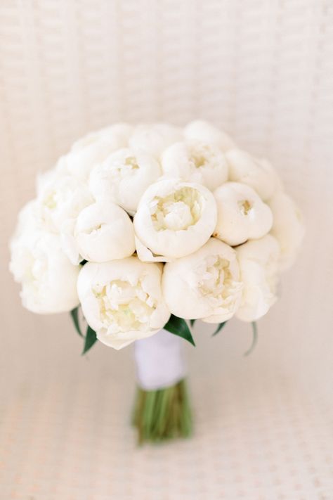 Simple White Peony Bouquet. White Peonies Centerpiece, White Peony Bouquet Wedding, White Peony Bouquet, Modern Floral Art, White Peonies Bouquet, Simple Wedding Bouquets, Peonies Wedding, Bridal Bouquet Peonies, Peony Bouquet Wedding