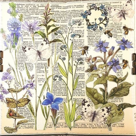 Constance Rose, Botanical Sketchbook, Gcse Art Sketchbook, A Level Art Sketchbook, Nature Sketch, Illustration Botanique, Glue Book, 수채화 그림, Sketchbook Pages