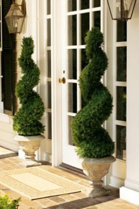 Swirl topiaries. What a beautiful "welcome home" Landscape Gardening, Topiary Garden, Exterior Front Doors, Topiary Trees, House With Porch, Topiaries, Front Porch Decorating, Landscape Lighting, Glass Doors