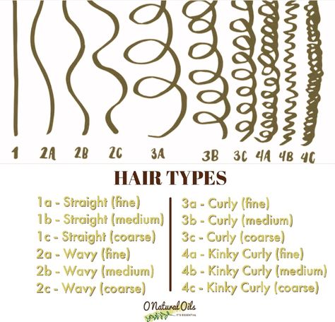 How To Describe Curly Hair Writing, Hair Textures, Hair Texture, Curl Type Chart, Hair Types, Hair Texture Chart, Hair Type Chart, Grow Thick Long Hair, Hair Journey Tips