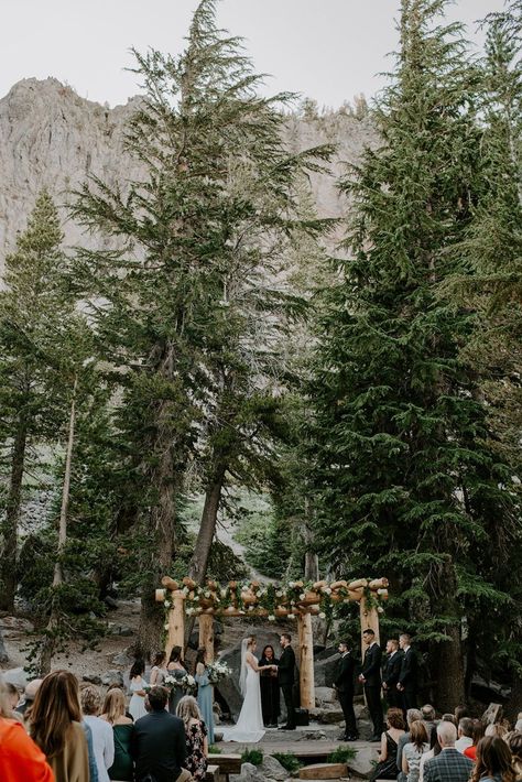 New England Forest Wedding, Cute Wedding Photo Ideas, New England Wedding Venues, Timeline Wedding Planning, Forest Weddings, Bay Area Wedding Venues, Timeline Wedding, Wedding Speeches, Venue Inspiration