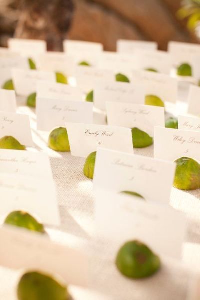 limes are fun Lime Wedding, Key West Wedding, Wedding Planner Book, Wedding Card Holder, Destination Wedding Mexico, Cabo Weddings, Mexico Wedding, Wedding Places, Limes