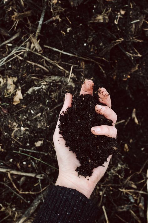 Hands In Dirt, Allotment Aesthetic, Groundskeeper Aesthetic, Soil Aesthetic, Dirt Aesthetic, Soil Photography, Herb Photography, Book Review Journal, Magic Aesthetic