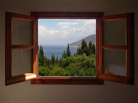 window to the woods Cabo Vacation, Window Photography, Fake Window, Greece Vacation, Looking Out The Window, Old Windows, Window Room, Window View, Open Window