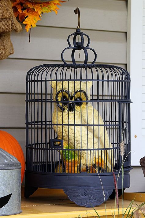 Quick and easy Halloween decorating ideas for your porch. An inexpensive way to transition the porch from fall to Halloween decor with just a few additions. Halloween Lawn Decorations, Halloween Vignette, Halloween Lawn, Peanuts Halloween, Halloween Decorating Ideas, Easy Halloween Decorations, Everything Fall, Halloween Yard Decorations, Fall Deco