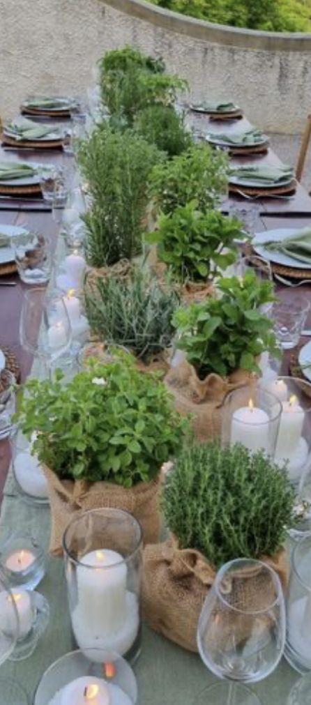 Italian Theme Party Decorations Centerpiece Ideas, Herb Themed Party, Italian Dinner Table Decor, Italian Tablescape Ideas, Italian Themed Centerpieces, Italian Dinner Decor, Tuscany Themed Party, Italian Wedding Table Decor, Tuscan Dinner Party