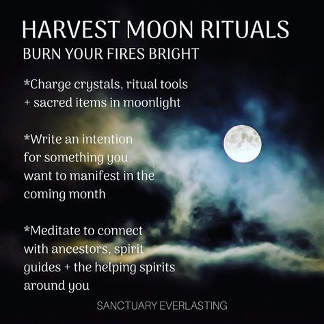 Three easy full moon rituals to celebrate the Harvest Moon. Learn how to bless and cleanse your body and living space--and also charge your crystals. Full Harvest Moon Rituals, Harvest Moon Meaning, Harvest Moon Celebration, Harvest Moon Activities, Harvest Full Moon Ritual, Harvest Moon Ritual, September Magick, November Moon, Harvest Full Moon