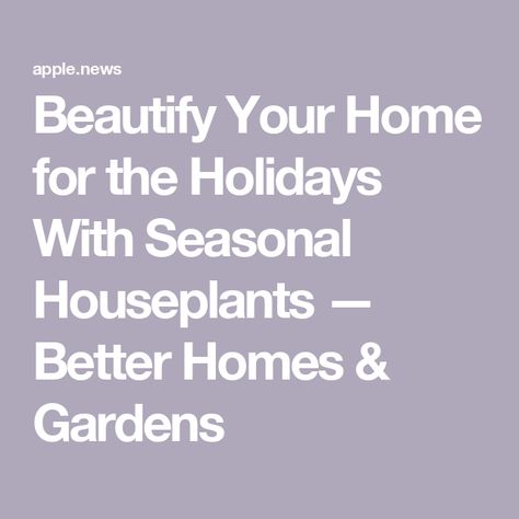 Beautify Your Home for the Holidays With Seasonal Houseplants — Better Homes & Gardens Home For The Holidays, Better Homes And Gardens, Better Homes, Christmas Ideas, Period, Home And Garden, Holidays, Plants, Christmas