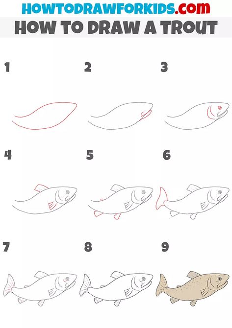 How to Draw a Trout - Easy Drawing Tutorial For Kids Trout Drawing Simple, How To Draw A Trout, How To Draw A Fish Step By Step, How To Draw A Fish, Fishing Drawing Ideas, June Watercolor, How To Draw Fish, Sketching Lessons, Teach Drawing