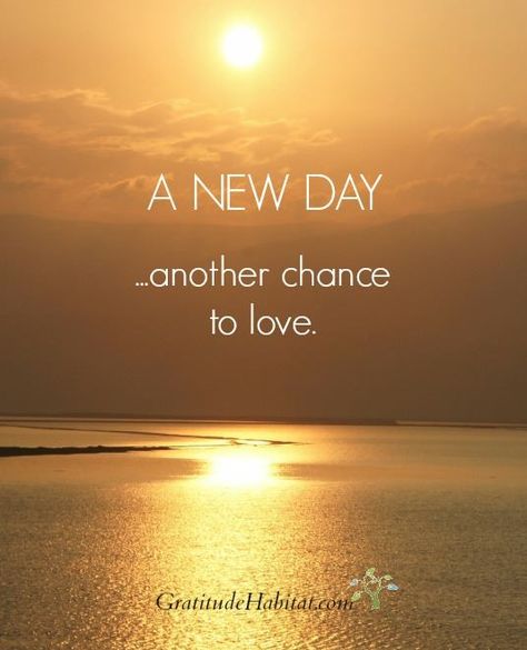 A new day, another chance to love. To Love Your Enemy, Motivational Sentences, Love Your Spouse, Love Your Friends, Love Your Enemy, New Day Quotes, Notable Quotes, Good Morning World, Blessed Quotes