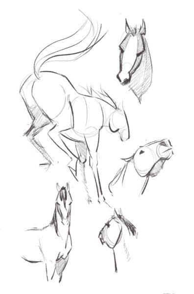 Drawings Of Horses, Movement Drawing, Horse Art Drawing, Horse Sketch, Human Figure Drawing, Disney Art Drawings, Horse Drawing, Horse Drawings, Gesture Drawing