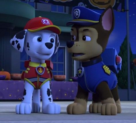 Zuma Paw Patrol, Paw Patrol Cartoon, Psi Patrol, Star Coloring Pages, Marshall Paw Patrol, Pound Puppies, Paw Patrol Pups, Nickelodeon Shows, Anime Poses Reference