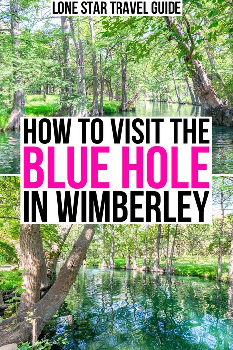 Blue Hole Texas Wimberly, Blue Hole Wimberly, Blue Hole Wimberly Texas, Blue Hole Texas, Wimberly Texas, Wimberley Texas, Austin Texas Travel, Bald Cypress Tree, Texas Adventure