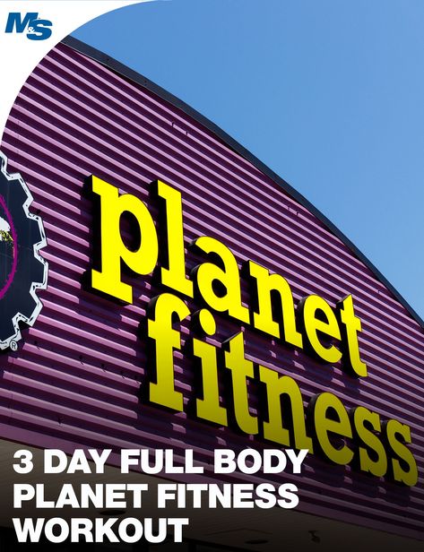 In this edition of a series of Planet Fitness appropriate workouts, we provide a 3 day full body workout one could do with the equipment at Planet Fitness. #PlanetFitness #Workout #DumbbellOnly 3 Day Full Body Workout, Planet Fitness Workout Plan, Fitness Style, Planet Fitness, Fun Fitness, Popular Workouts, Acro Yoga, Workout Plan Gym, Planet Fitness Workout