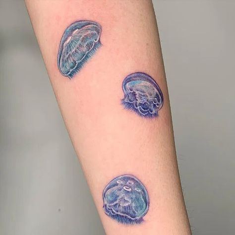 Jellyfish And Starfish Tattoo, Large Jellyfish Tattoo, Moon Jelly Tattoo, Traditional Jellyfish Tattoo, Moon Jellyfish Tattoo, Smol Tattoos, Teeny Tattoos, Octopus Thigh Tattoos, Colored Tattoos