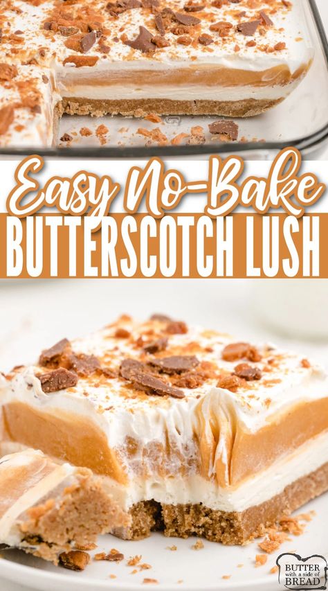 Butterscotch Lush is a no bake dessert made with a graham cracker crust topped with layers of sweetened cream cheese and butterscotch pudding. Simple butterscotch dessert that is assembled in minutes! Butterscotch Lush, Butterscotch Desserts, Butterscotch Recipes, Lush Dessert, Lush Recipes, Cream Cheese Desserts, Fluff Desserts, Healthy Summer Desserts, Butterscotch Pudding