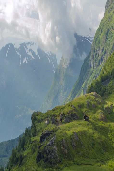 Norway Forest, Patagonia Travel, Mountains Aesthetic, Suburban House, Norwegian Forest, Forest Mountain, Nature Design, Beautiful World, Art Direction