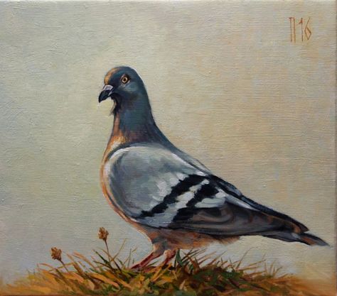 Pigeon Painting, Pigeon Art, Landscape On Canvas, Bird Artwork, Art Nature, Nature Landscape, Art Galleries, Acrylic Colors, Bird Art