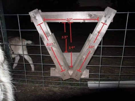 Goat Fence Gate, Livestock Guardian Dog House, Colorado Farming, Livestock Dogs, Livestock Dog, Goat Projects, Mini Cattle, Goat Fence, Raising Livestock