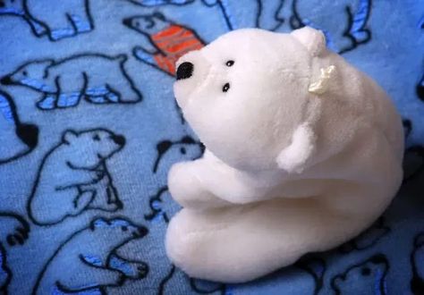 Stuffed Animal Names, Stuffed Polar Bear, Polar Bear Names, Japanese Meaning, Sno Cones, Bear Names, Fuzzy Wuzzy, Cute Polar Bear, Bear Stuffed Animal