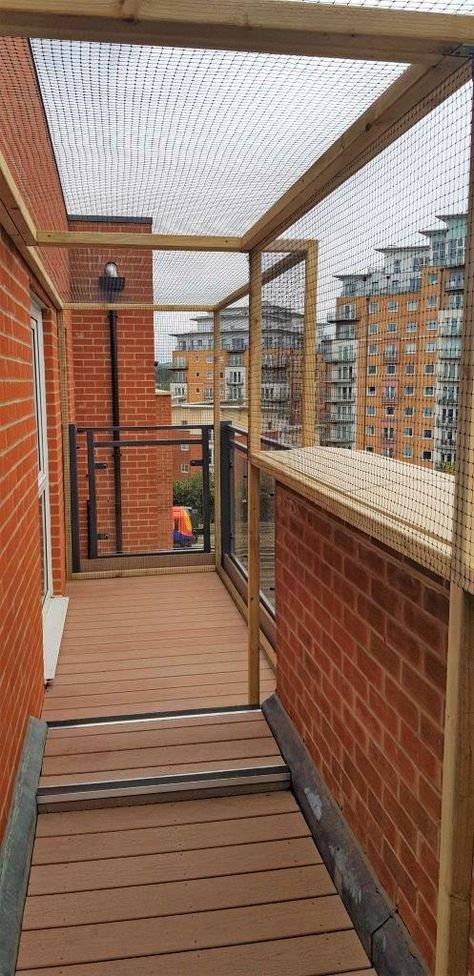 Catio Ideas Balcony, Cat Patio Apartment Balconies, Catio Ideas Cat Balcony, Balcony Catio Cats, Apartment Balcony Catios, Cat Balcony Ideas, Balcony For Dogs, Balcony Catios, Balcony Enclosure