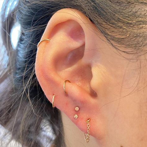 Next Piercing, Unique Piercings, Unique Piercing, Anti Tragus Piercing, Piercing Inspiration, The World Is Your Oyster, Anti Tragus, Tragus Hoop, World Is Your Oyster