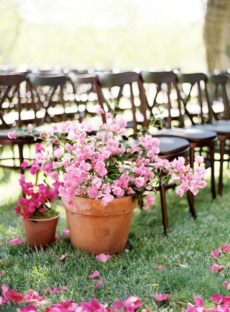 Terracotta Wedding Decor Ideas and Inspiration Wedding Aisles, Tattoo Plant, Wedding Ceremony Ideas, Boda Mexicana, Wedding Aisle Decorations, Wooden Chairs, Eco Friendly Wedding, Ceremony Flowers, Aisle Decor