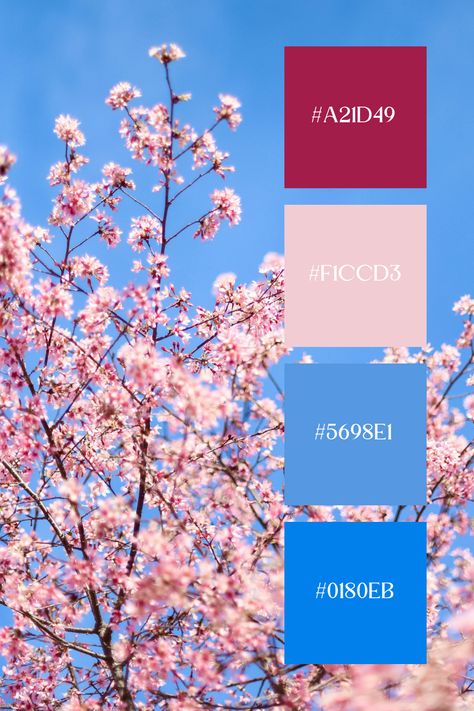 This Blue Pink palette features soft pinks and serene blues, capturing the delicate beauty of sakura blossoms against a clear blue sky. It evokes a sense of tranquility and renewal, perfect for spring-inspired designs. Blue Pink Palette, Blue Pink Color Palette, Blue And Pink Color Palette, Color Scheme Generator, Color Generator, Flip Image, Sakura Blossoms, Purple Pink Color, Blue Color Combinations