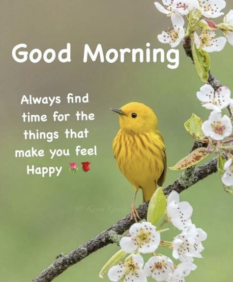 Birds Good Morning Quotes, Good Morning Birds Images, Good Morning Greeting Cards, Beautiful Morning Quotes, Cute Good Morning Images, Good Morning Sunshine Quotes, Happy Morning Quotes, Good Morning Nature, Good Morning Flowers Quotes