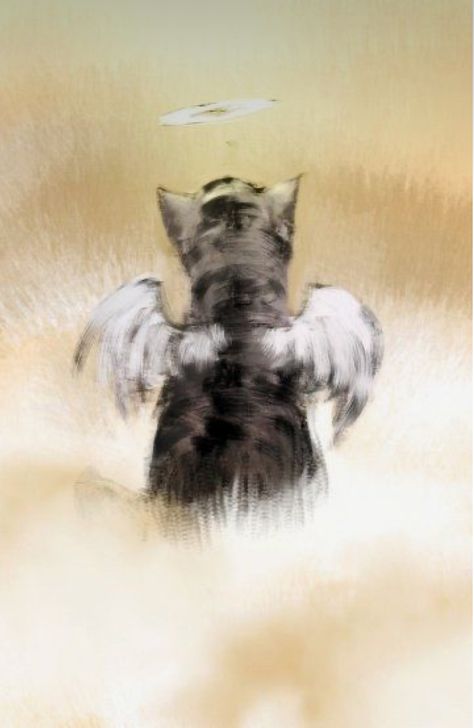 Cat With Wings, Miss My Dog, Cat Heaven, Schnauzer Art, Cat Loss, Dog Heaven, Pet Remembrance, Angel Cat, Dog Memorial