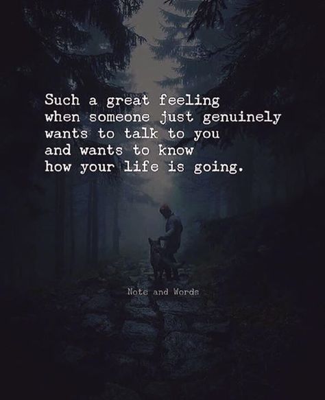 Optimist Quotes, Understanding Quotes, Express Bus, Birthday Quotes For Me, Quotes Deep Feelings, Deep Thought Quotes, Heartfelt Quotes, A Quote, Reality Quotes