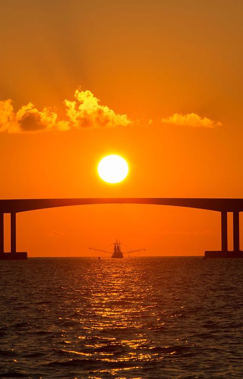 Home | Town of Dauphin Island | Coastal Alabama Dauphin Island, Home Town, Gulf Coast, Vacation Destinations, Beach Vacation, Alabama, Road Trip, Travel