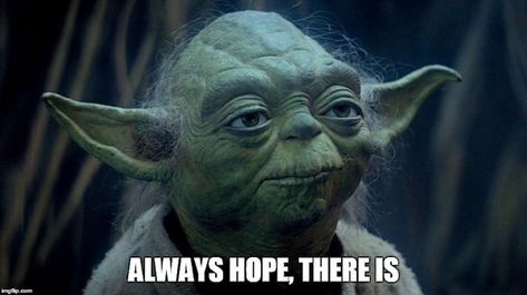 Happy Meme Monday! Yoda wants to remind everyone that "always hope, there is!" Yoda Species, Jedi Master Yoda, Yoda Quotes, Yoda Wallpaper, Star Wars 7, Master Yoda, Jedi Order, Star Wars Celebration, Star Wars Film