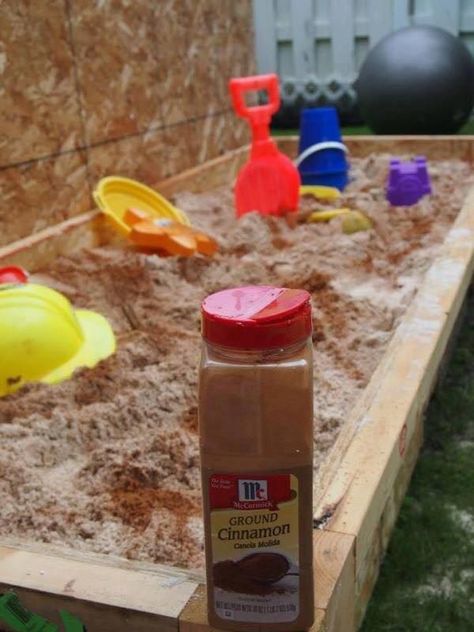 You can keep bugs out of the sandbox by adding an all-natural bug repellent: CINNAMON! Cat Playground Outdoor, Kids Sandbox, Cat Playground, Natural Insect Repellant, Bug Repellent, Insect Repellent, Backyard Fun, Sandbox, Patio Ideas