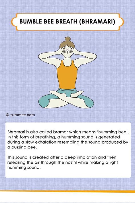 Brahmari Pranayama, Bee Breathing, Bhramari Pranayama, Yoga Breathing Techniques, Daily Yoga Routine, Pranayama Techniques, Pranayama Breathing, Pranayama Yoga, Breath Work