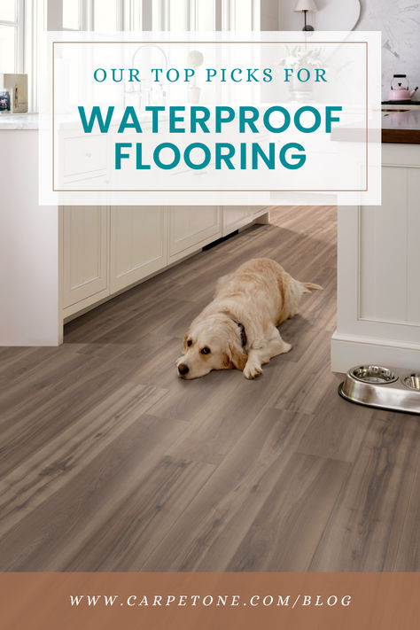 best-waterproof-flooring-options Waterproof Bathroom Flooring Ideas, Waterproof Bathroom Flooring, Basement Flooring Waterproof, Floor Options, Pet Friendly Flooring, Basement Flooring Options, Best Vinyl Flooring, Waterproof Laminate Flooring, Laundry Room Flooring