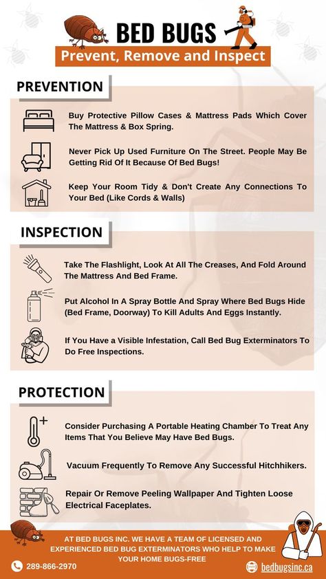 Prevent
Eliminate 
Inspect Bed Bugs Natural Bed Bug Repellent, Bed Bug Remedies, Get Rid Of Bed Bugs, Bug Spray Recipe, Kill Bed Bugs, Rid Of Bed Bugs, Guelph Ontario, Pillow Case Mattress, Bed Bug Bites