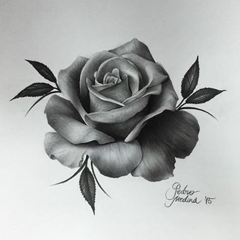 Tattoo Crane, Mandala Rose, Realistic Rose Tattoo, Rose Drawing Tattoo, Rose Sketch, Tattoo Mandala, Kunst Tattoos, Tattoo Zeichnungen, Tattoo Rose