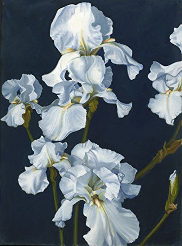 White Iris Midnight ** Click image to review more details. (This is an affiliate link) Botanical Display, Iris Painting, White Iris, Blue Art Prints, China Art, Blue Painting, Iris Flowers, Photorealism, Original Art For Sale