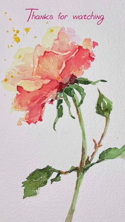 Paint a loose watercolor rose flower with me #reelsvideo #watercolorpainting #rose | LINDAartdiary | Royalty Free Music Background · Sentimental Lo-Fi Piano Loose Rose Watercolor, Single Rose Painting, Loose Watercolor Roses, Watercolor Roses Painting, Loose Watercolor Flowers Watercolour, How To Paint Watercolor Flowers, Watercolor Roses, Watercolor Tutorial, Rose Painting Watercolor