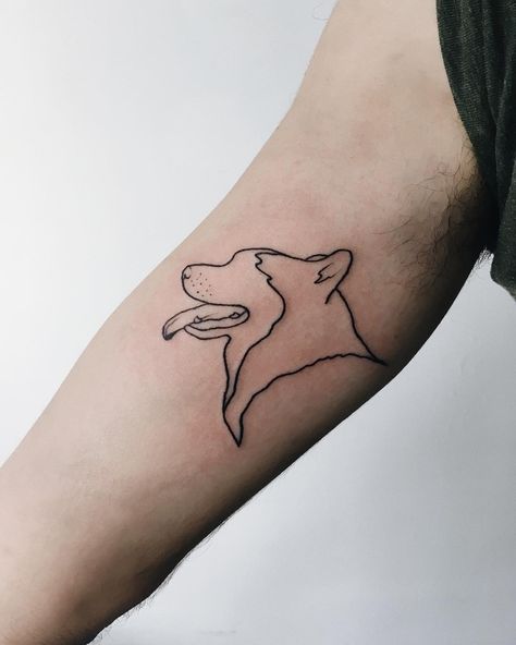 Inês ✨ on Instagram: “O Newton no @fabriziododat • • • • #firsttattoo #tattooaprentice #tattoo #tattoos #dogtattoo #huskytattoo #linetattoo #tattooline…” Husky Tattoo Outline, Minimalist Husky Tattoo, Fine Line Husky Tattoo, Alaskan Malamute Tattoo, Husky Outline Tattoo, Malamute Tattoo, Husky Tattoo Simple, Husky Outline, Siberian Husky Tattoo