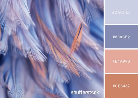 20 Pastel Color Palettes to Get the Rococo Art Look — Fluffy Feathers Air Colour Palette, Pastel Colors Scheme, Color Palettes Purple, Air Color Palette, Art Pallette, Pastel Living Room Ideas Colour Palettes, Color Aesthetic Palette, Colour Palette Pastel, Rococo Color Palette