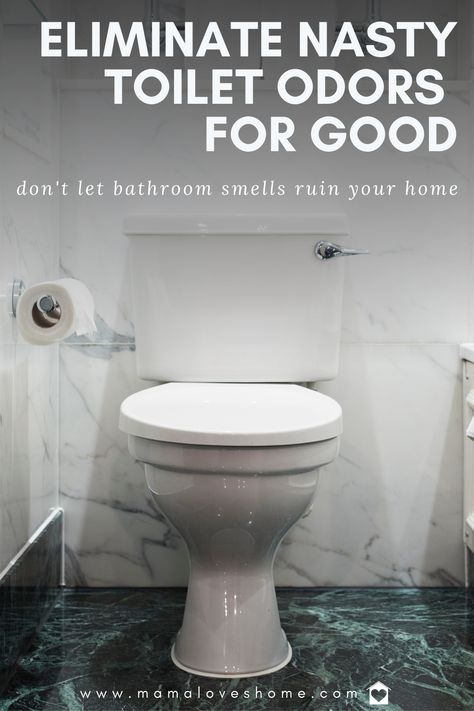 Smelly Bathroom, Toilet Odor, Pee Smell, Diy Steps, Clean Toilet, Bathroom Odor, Urine Smells, Easy Hacks, Organized Home