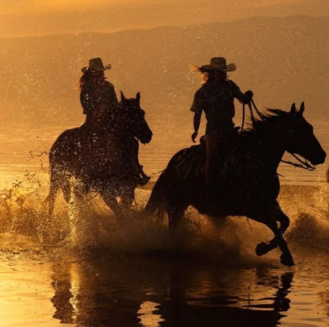 Moody Country Aesthetic, Western Cinematography, Concrete Cowboy, Rodeo Aesthetic, Western Gunslinger, Western Gunslinger Art, Gunslinger Art, Cowboy Vibes, Cowboy Posters