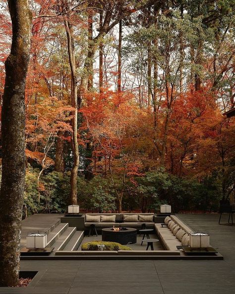 Autumn's fast approaching and theres no better time for a cozy getaway. Witness the fall foliage from the comfort of your hotel room or on a stroll around the colourful grounds. Beautiful hotels for an unforgettable autumn escape: 1. @aman_kyoto ,Kyoto , Japan 2. @fairmontcll , Lake Louise, Canada 3. @twinfarms , Vermont, United States 4. @heckfield_place , Hampshire, UK 5. @stregisaspen , Aspen, United States Which one would you choose? #VirtuosoTravel #SoVirtuoso Aman Kyoto, Lake Louise Canada, Hampshire Uk, Lake Louise, Beautiful Hotels, Kyoto Japan, Hotel Room, Fall Foliage, Tea Room