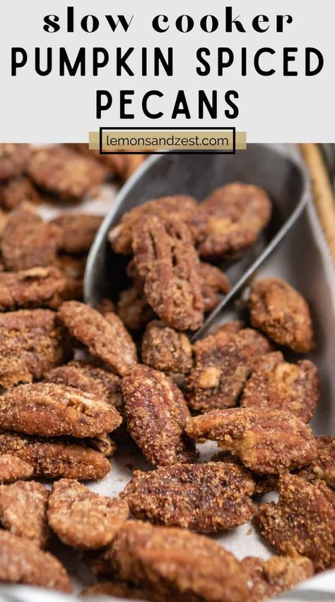 Slow Cooker Candied Pecans, Cozy Autumn Food, Slow Cooker Pecan Clusters, Pumpkin Spice Candied Pecans, Crockpot Sugared Pecans, Slow Cooker Nuts Recipes, Slow Cooker Chocolate Caramel Pecan, Crock Pot Pecans Candied, Slow Cooker Candy