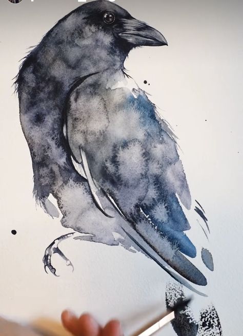 Crow Ink Drawing, Watercolour Crow, Crow Watercolor, Raven Watercolor, Acrylic Crow Painting, Mountain Animals, Abstract Crow Painting, Plague Doctors, Blackbird Singing