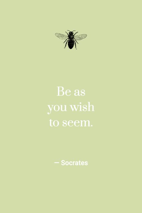 Be as you wish to seem. — Socrates #quoteoftheday Be As You Wish To Seem, Free Bird, Socrates, 2024 Vision, Quotable Quotes, Quote Of The Day, Vision Board, Bring It On, Collage