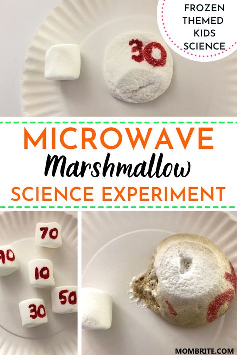 What will happen to a marshmallow when you microwave it for 10 seconds? 20 seconds? 50 seconds? Conduct a super simple yet fun science experiment with your kids in the kitchen with this Marshmallow In The Microwave science activity! #KidsScienceExperiment #FunFoodScienceForKids #EducationalKidsScienceActvities Marshmallow Activities, Kitchen Science Experiments, Kitchen Science, Science Club, Invisible Ink, Kid Experiments, Science Projects For Kids, Cool Science Experiments, Kindergarten Science